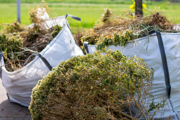 Best Garage Cleanout  in Pine Castle, FL